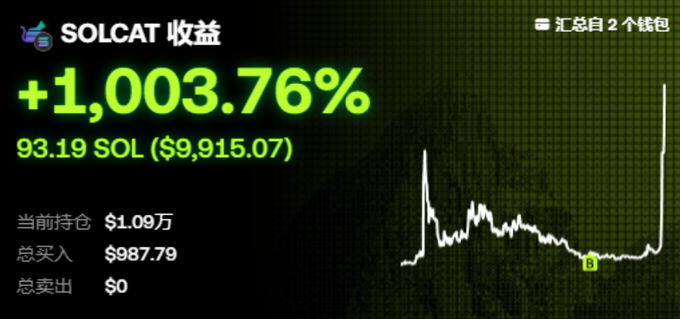 A SOLCAT portfolio screen showing a return of +1,003.76%, with a current holding of $10,900, totaling $9,915.07 in SOL.