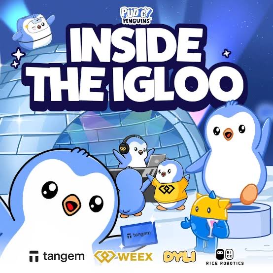 A promotional graphic for "Pudgy Penguins INSIDE THE IGLOO" featuring cartoon penguins and branding from tangem, WAX, OMY, and Rice Robotics.