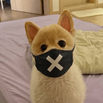 A Shiba Inu puppy wearing a black face mask with a white "X" design sits on a bed, looking forward with wide eyes. The masked dog humorously mirrors the post's confession of not knowing what July 7th is, as if the dog is staying silent or hiding something behind the "X."