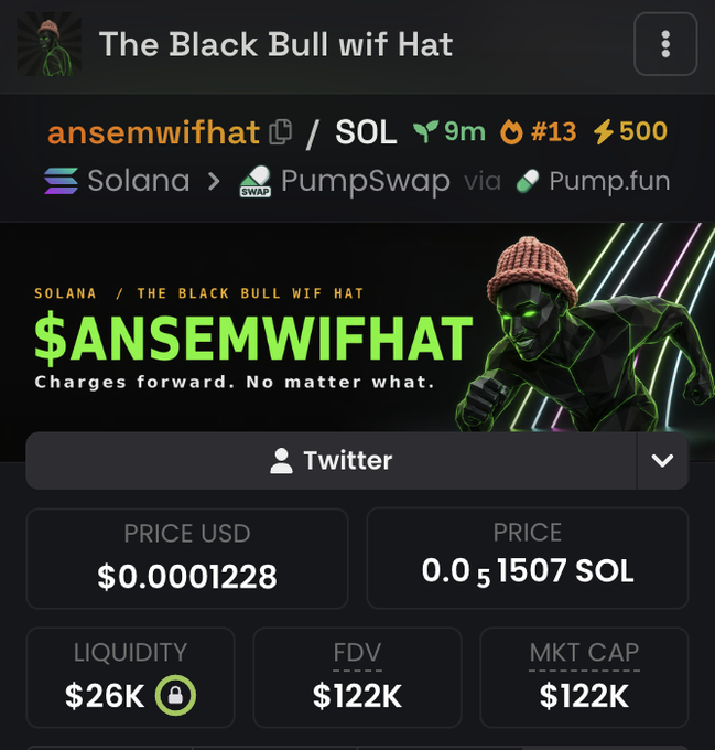 A screenshot of the $ANSEMWIFHAT token on Solana (ticker: ansemwifhat), showing a current price of $0.0001228 USD / 0.0001507 SOL, with $26K liquidity, a $122K market cap, and a 9-minute token age, branded with the tagline "Charges forward. No matter what." This directly supports the post's claim of "max bidding" the token, as the stats confirm it's an extremely new (under 10 minutes old), low-liquidity Pump.fun launch—the type of microcap gem the poster is promoting for an airdrop giveaway to the first 777 retweeters.