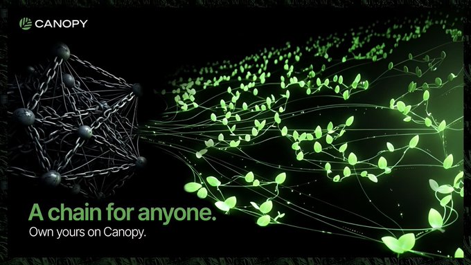 A Canopy blockchain advertisement displaying green leaves transforming into network nodes with the tagline 'A chain for anyone. Own yours on Canopy.'