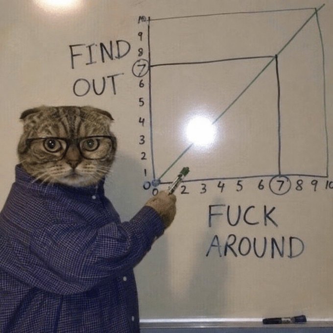 A meme showing a cat in glasses and a shirt pointing at a whiteboard graph with the coordinates (0,0) and (7,7), captioned 'FIND OUT' and 'FUCK AROUND.'