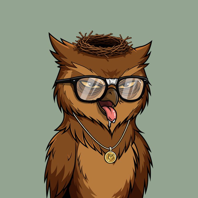 A cartoon illustration of a brown owl wearing black-framed glasses, a gold medallion necklace, and with a small twig nest perched on its head.