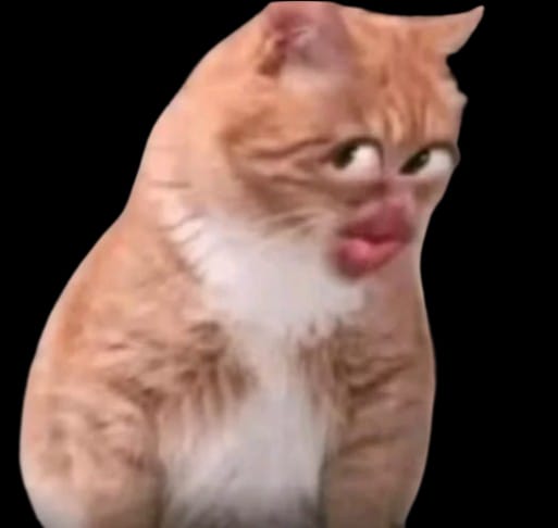 A meme-style image of an orange and white cat with its lips pursed in an exaggerated expression against a black background.