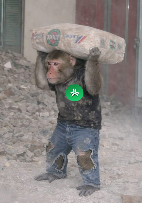 A monkey wearing torn jeans and a black t-shirt stands on rubble while carrying a large bag of 'NOCCI' cement on its shoulders.