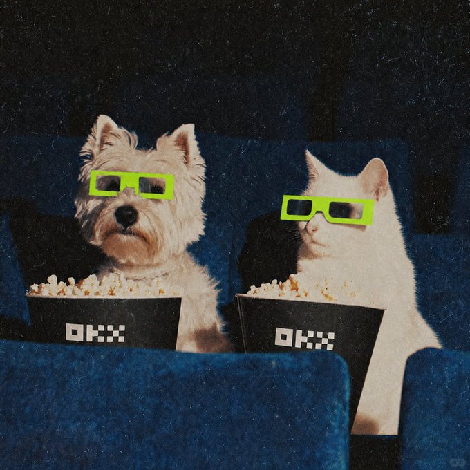 A dog and a cat wearing green 3D glasses sit in theater seats eating popcorn from containers labeled 'OKX'.