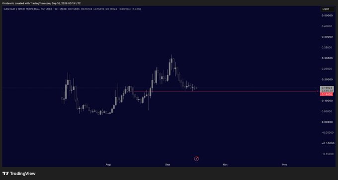 A TradingView daily candlestick chart for CASHCAT/Tether Perpetual Futures shows the price currently around 0.15927, with a significant peak near 0.38 in early September followed by a sharp decline. The post about adding to $cashcat spot aligns with this chart showing the token at a recent low, suggesting an accumulation opportunity near support levels around 0.15-0.17.