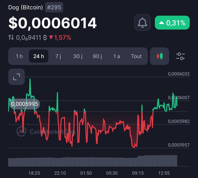 A CoinMarketCap chart for 'Dog (Bitcoin)' (#295) showing a price of $0,0006014 with a 1.57% decrease and a 0.31% increase indicator.