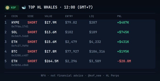 A crypto leaderboard titled 'TOP HL WHALES · 12:00 (GMT+7)' displays positions for HYPE, SOL, ETH, BTC, and another ETH trade, mostly showing profitable shorts led by '+$745K' for SOL.