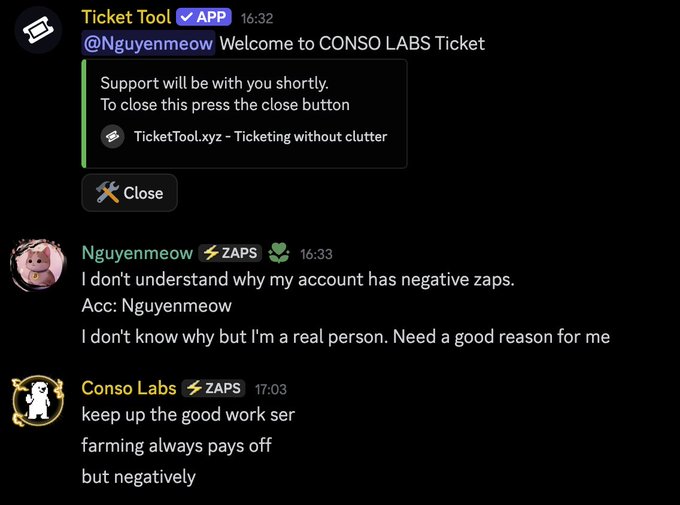 A Discord chat screenshot showing a 'Ticket Tool' automated message and a user named 'Nguyenmeow' asking about negative zaps, followed by a reply from 'Conso Labs' joking 'keep up the good work ser, farming always pays off, but negatively'.