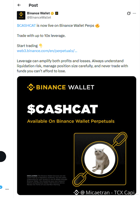 A Binance Wallet X post announces that '$CASHCAT is now live on Binance Wallet Perps' with up to 10x leverage, featuring a cat-themed graphic with a disclaimer.