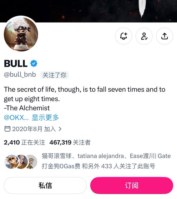 A TikTok profile page for "BULL" (@bull_bnb) with 467,319 followers, featuring a bio quote from The Alchemist: "The secret of life, though, is to fall seven times and to get up eight times." The image illustrates the user's excitement about being followed by this notable account, as indicated by the "关注了你" (followed you) notification next to the handle.