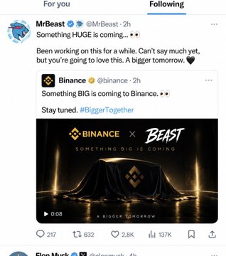 A screenshot of a Twitter/X post from MrBeast (@MrBeast) featuring a Binance collaboration announcing "Something BIG is coming" with a teaser video titled "Binance x Beast - A Bigger Tomorrow," accompanied by metrics showing 217 comments, 632 retweets, 2.8K likes, and 13.7K views, promoting the upcoming $BEAST coin presale.