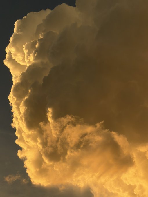 A dramatic photograph of large golden-hued cumulus clouds illuminated against a dark sky.