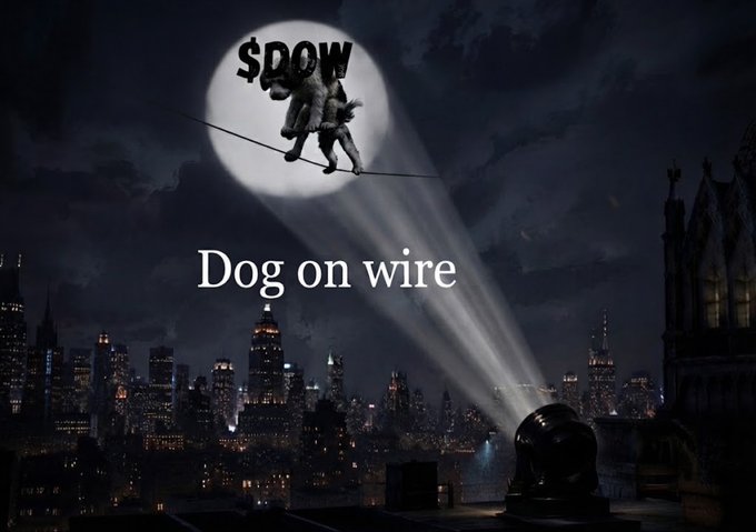 A meme image featuring a night cityscape with a full moon displaying a dog walking on a wire with '$DOW' text, and the caption 'Dog on wire' below.