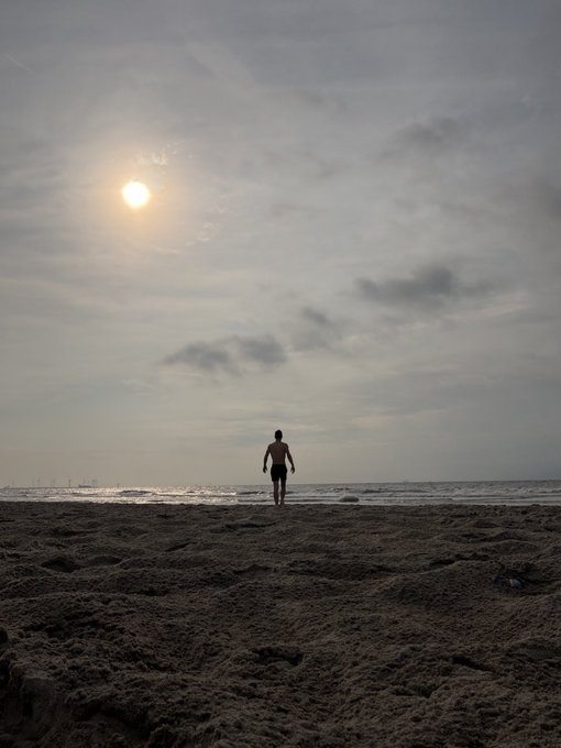 A silhouetted figure walks on a dark sandy beach toward the ocean, with the sun glowing through a cloudy sky and distant ships visible on the horizon.