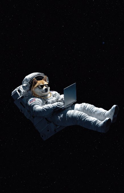A digital illustration of a Shiba Inu dog wearing sunglasses and an astronaut suit, floating in a starry space environment while using a laptop.