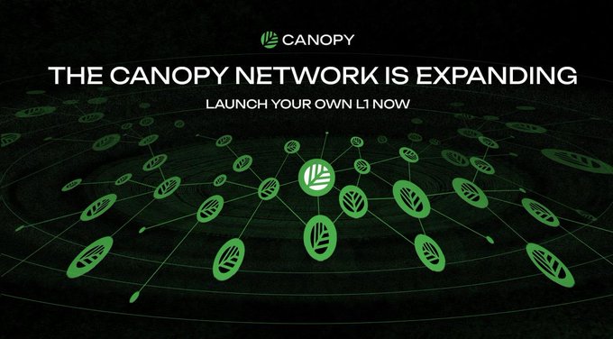 A promotional graphic for Canopy Network featuring the text "THE CANOPY NETWORK IS EXPANDING" and "LAUNCH YOUR OWN L1 NOW" displayed over a visual of interconnected leaf-shaped nodes on a dark background. The image illustrates the network's expanding infrastructure, aligning with the post's message about @CNPYNetwork simplifying blockchain development through fast sovereign chain launches and streamlined code.