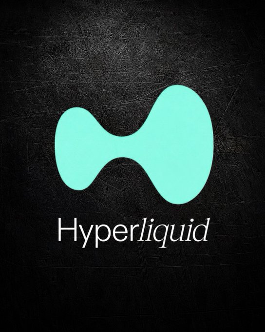 The image features a black background with a logo for Hyper Liquid written in white text. The logo consists of two blue circles connected by a line, creating an abstract shape that resembles a wave or a cloud. The text "HYPERLiquid" is positioned above and below the logo, indicating the brand name. The image also includes a caption that reads: "Focus on what is in the image and how it relates to the post".