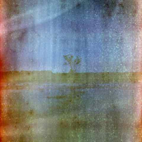 An atmospheric, hazy landscape painting featuring a solitary tree silhouetted against a muted, textured sky above a soft green and blue field.
