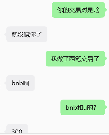 A chat conversation in Chinese discussing cryptocurrency trades, with messages mentioning 'bnb啊' and 'bnb和u的?'