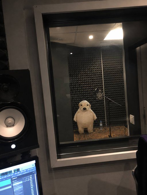 A recording studio booth with acoustic foam panels containing a white polar bear mascot standing in front of a microphone, viewed through a glass window from the control room.