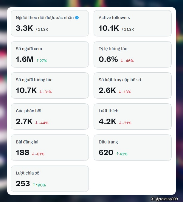 A Vietnamese-language social media analytics dashboard showing metrics including 3.3K personal followers, 10.1K active followers, 1.6M views, and various engagement statistics with percentage changes.