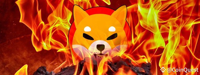 A Shiba Inu (SHIB) cryptocurrency logo mascot set against a vibrant background of roaring orange and yellow flames, with the watermark "@CoinQuest" in the bottom right corner.