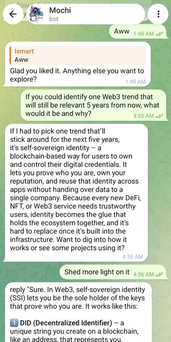 A screenshot of a chat conversation with the bot "Mochi" discussing Web3 trends, self-sovereign identity, and decentralized identifiers (DIDs) in the Web3 ecosystem.