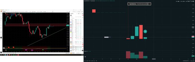 Trading charts side-by-side: a candlestick chart on the left and a bar chart labeled 'Spelmantho' showing green and red price movements.