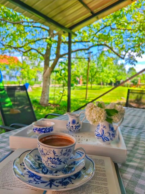 A cup of tea on a blue-and-white porcelain saucer placed on an open book, set on a table with flowers and a view of a green garden.