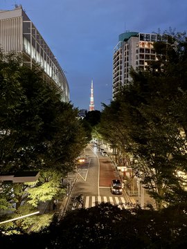 A nighttime view down a tree-lined street in Japan, with Tokyo Tower illuminated in the distance between two modern buildings.
