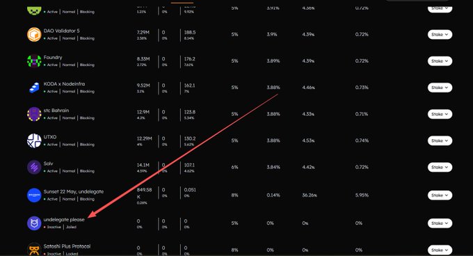 A validator statistics dashboard listing various active/named/blocking validators with performance metrics, with a red arrow highlighting the 'sundelegator please' entry marked as Inactive and Jailed at the bottom.