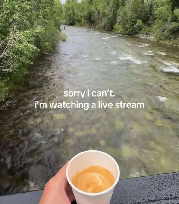 A scenic view of a river with a hand holding a cup of coffee in the foreground, captioned 'sorry i can't. i'm watching a live stream'.