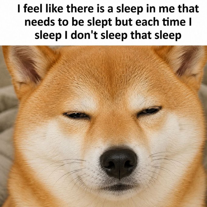 A close-up photo of a Shiba Inu dog with a sleepy expression, accompanied by the text: 'I feel like there is a sleep in me that needs to be slept but each time I sleep I don't sleep that sleep'.