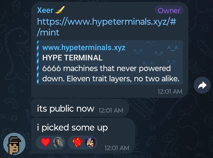 A Discord chat screenshot showing a link to 'www.hypeterminals.xyz' with descriptions of '6666 machines that never powered down. Eleven trait layers, no two alike.' and messages reading 'its public now' and 'i picked some up'.