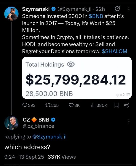 The image shows a tweet from @Szymansk_ii claiming someone turned a $300 BNB investment from 2017 into $25,799,284.12 (28,500 BNB), with CZ (@cz_binance) replying simply "which address?" — exposing the original claim as unverifiable larping, consistent with the user's point about similar fake crypto promotion tactics.
