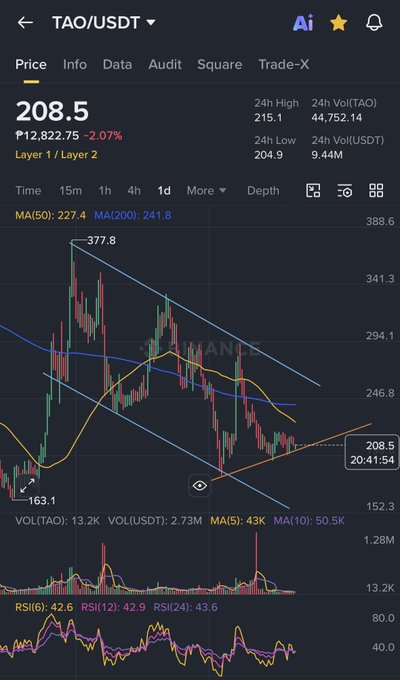 A Binance trading chart showing TAO/USDT at 208.5 (down 2.07%), with price action bouncing off a rising orange trendline after breaking below a descending channel—visually supporting the post's analysis that holding the 200-205 support could push TAO toward 225-245, while a breakdown risks a retest of 180-190.