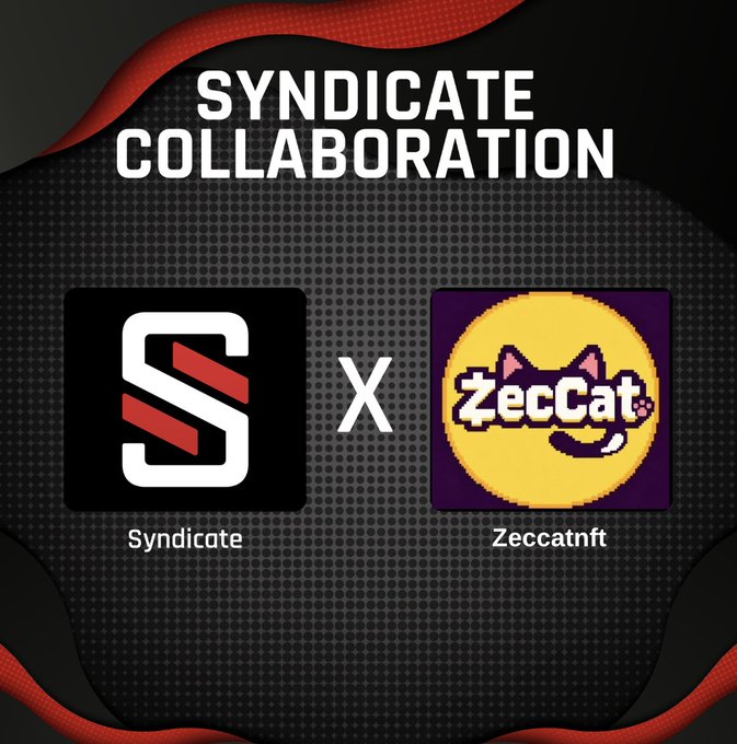 A promotional graphic for a 'SYNDICATE COLLABORATION' between Syndicate (with an 'S' logo) and Zeccatnft (with a cat logo on a yellow background).