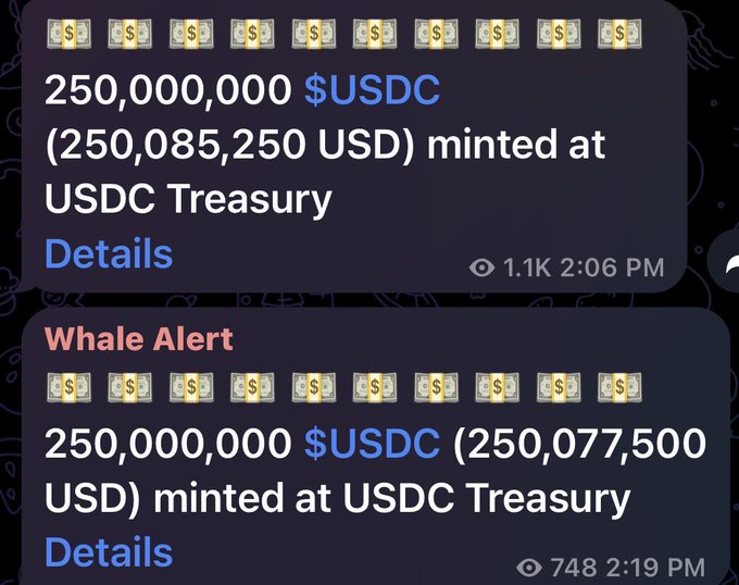 The image shows two Whale Alert notifications announcing the minting of 250 million USDC at the USDC Treasury, with the second alert timestamped at 2:19 PM. These two consecutive 250M USDC mintings together account for the 500 million new dollars referenced in the post about liquidity being added on Solana.