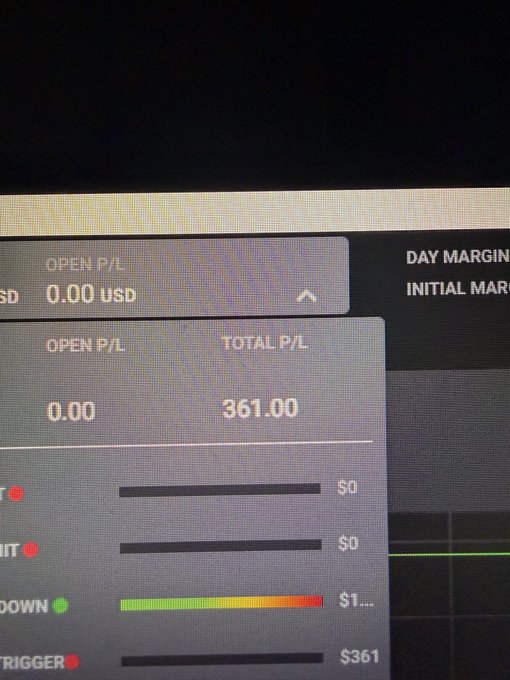 A close-up of a trading screen displaying financial metrics including 'OPEN P/L 0.00 USD', 'TOTAL P/L 361.00', and other indicators like 'DAY MARGIN' and 'INITIAL MARGIN'.