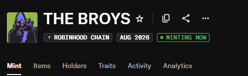 A digital profile header for 'THE BROYS' displays 'ROBINHOOD CHAIN', 'AUG 2026', and a green 'MINTING NOW' button above navigation tabs including Mint, Items, Holders, and Analytics.