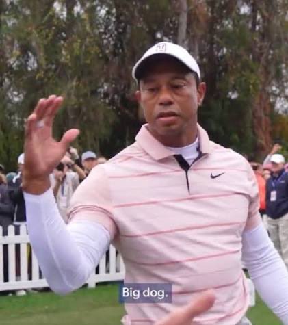 The image features a man wearing a pink shirt, standing outdoors with his arms raised. The caption of the image reads "Big dog", which could be interpreted as a reference to Bitcoin or cryptocurrency. The man appears to be celebrating something, possibly related to Bitcoin, and is waving at the camera while holding up his hands in victory.