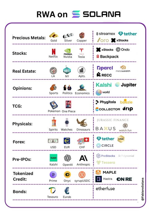 This image is a categorized infographic titled "RWA on Solana" showcasing various real-world asset (RWA) tokenization projects on the Solana blockchain across 10 categories—Precious Metals (Gold, Silver, Copper via Streamex, Tether, ORO, xStocks), Stocks (Netflix, Nvidia, Tesla via xStocks, Ondo, Backpack), Real Estate (LA/NY/Apts via Parcl, RECC, MeowWealth), Opinions (Sports/Politics/Economics via Kalshi, Jupiter, World), TCG (Pokemon, One Piece via Phytgitals, bĕiezie, Collector, Drip), Physicals (Spirits, Watches, Dinosaurs via Jurassic Finance, BAXUS, Watchfun), Forex (USD, EUR, CHF via Tether, VNX, Circle), Pre-IPOs (Kalshi, OpenAI, Anthropic via PreStocks, Polynomial, Tessera), Tokenized Credit (Prime