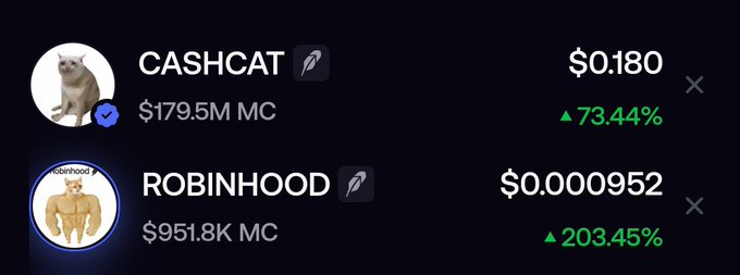 A screenshot of two memecoin listings—$CASHCAT at $0.180 (+73.44%, $179.5M market cap) and $ROBINHOOD at $0.000952 (+203.45%, $951.8K market cap)—illustrates the caption's bullish sentiment toward $ROBINHOOD, highlighting its smaller but rapidly surging valuation next to the more established CASHCAT.