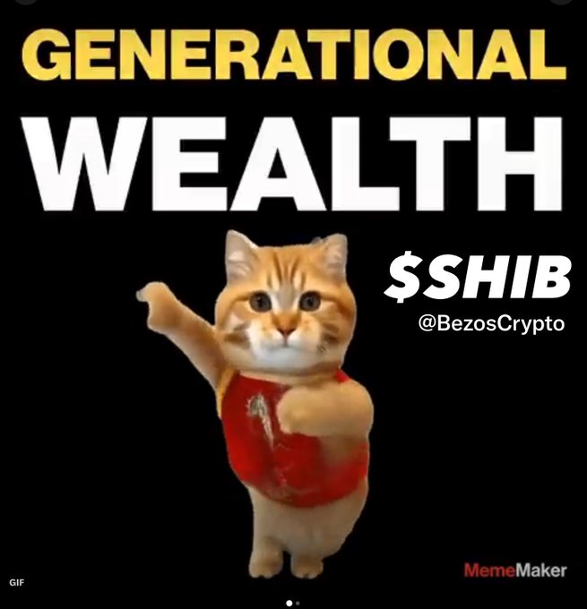 A meme with bold yellow and white text reading "GENERATIONAL WEALTH" above a cat in a red shirt posing like a martial artist, with "$SHIB" and "@BezosCrypto" written to the side.