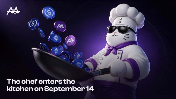 A promotional graphic featuring a white cat dressed as a chef with sunglasses tossing crypto coins in a pan, with text 'The chef enters the kitchen on September 14' and the Motion logo.