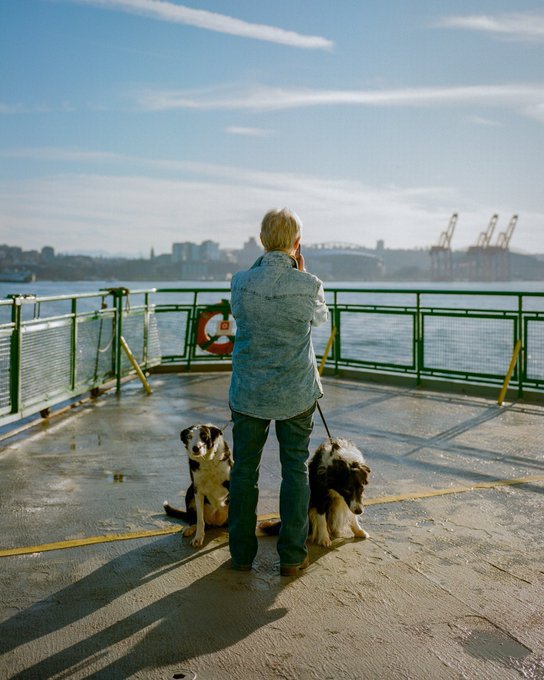 A photograph of a person standing on a ferry deck with their back to the camera, holding leashes attached to two dogs, with a city skyline and industrial cranes visible across the water.