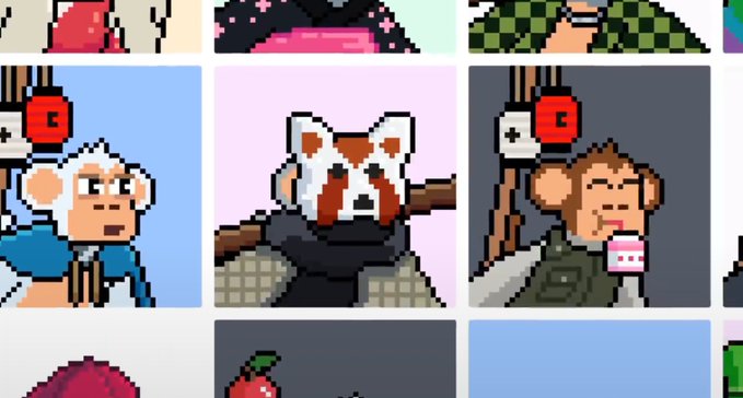 A grid of pixel art NFT portraits featuring monkeys and a red panda in various outfits.