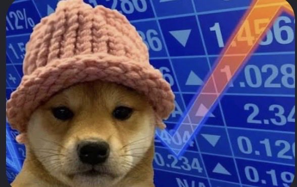 A Shiba Inu dog wearing a pink knitted beanie is shown against a blue stock market chart background with visible numbers like 1.456, 1.028, and 2.34, along with up and down arrows. The dog image connects to the post's mention of $WIF, the dog-themed meme coin trending in crypto communities.